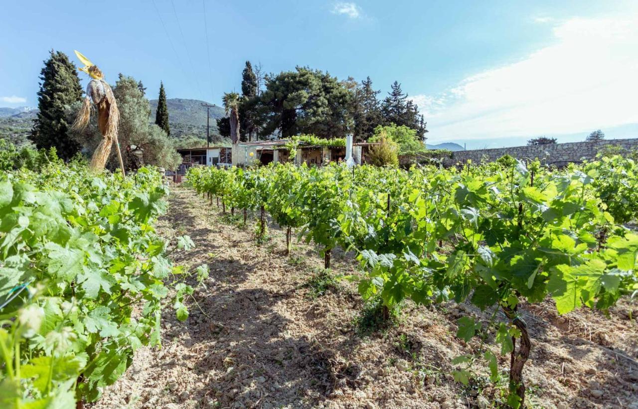 Villa Nassibe Estate Agios Ioannis (Rethymno)