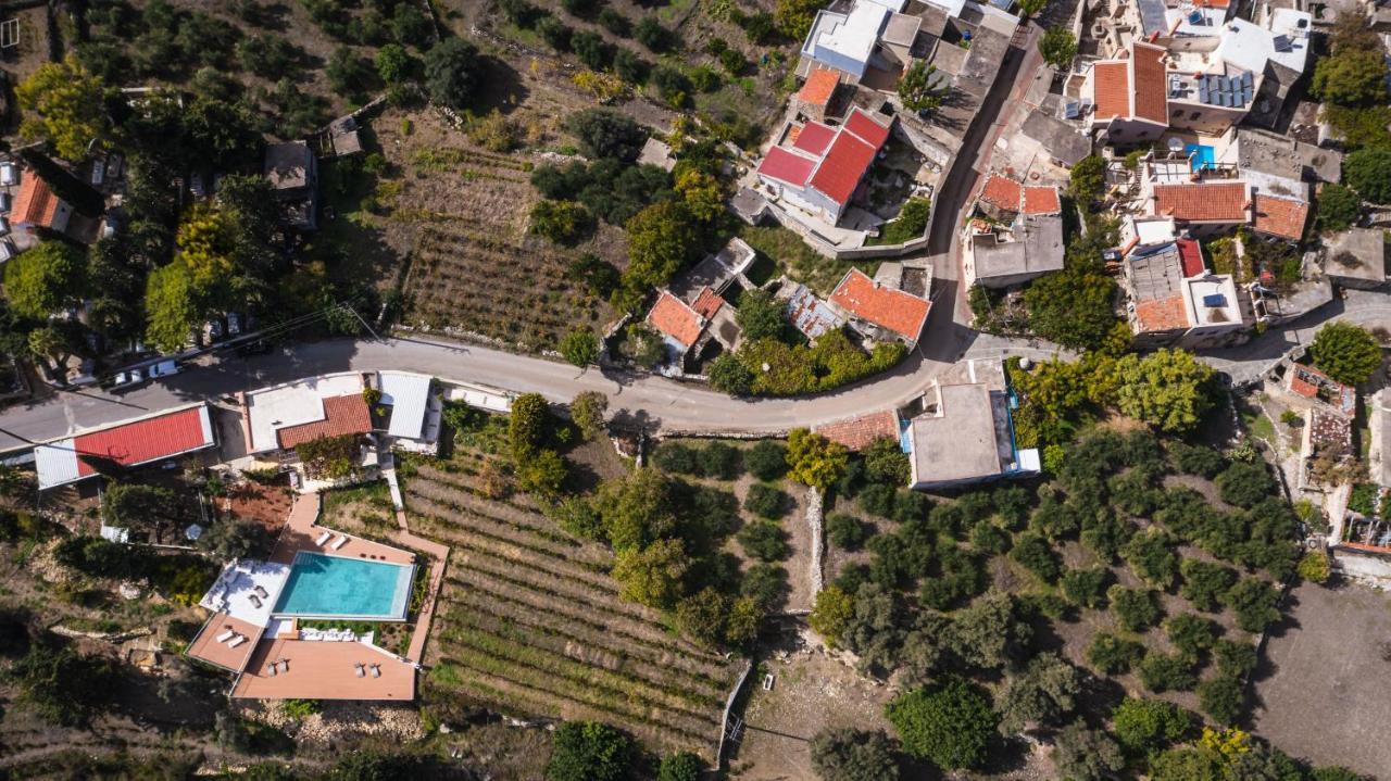 Nassibe Estate *